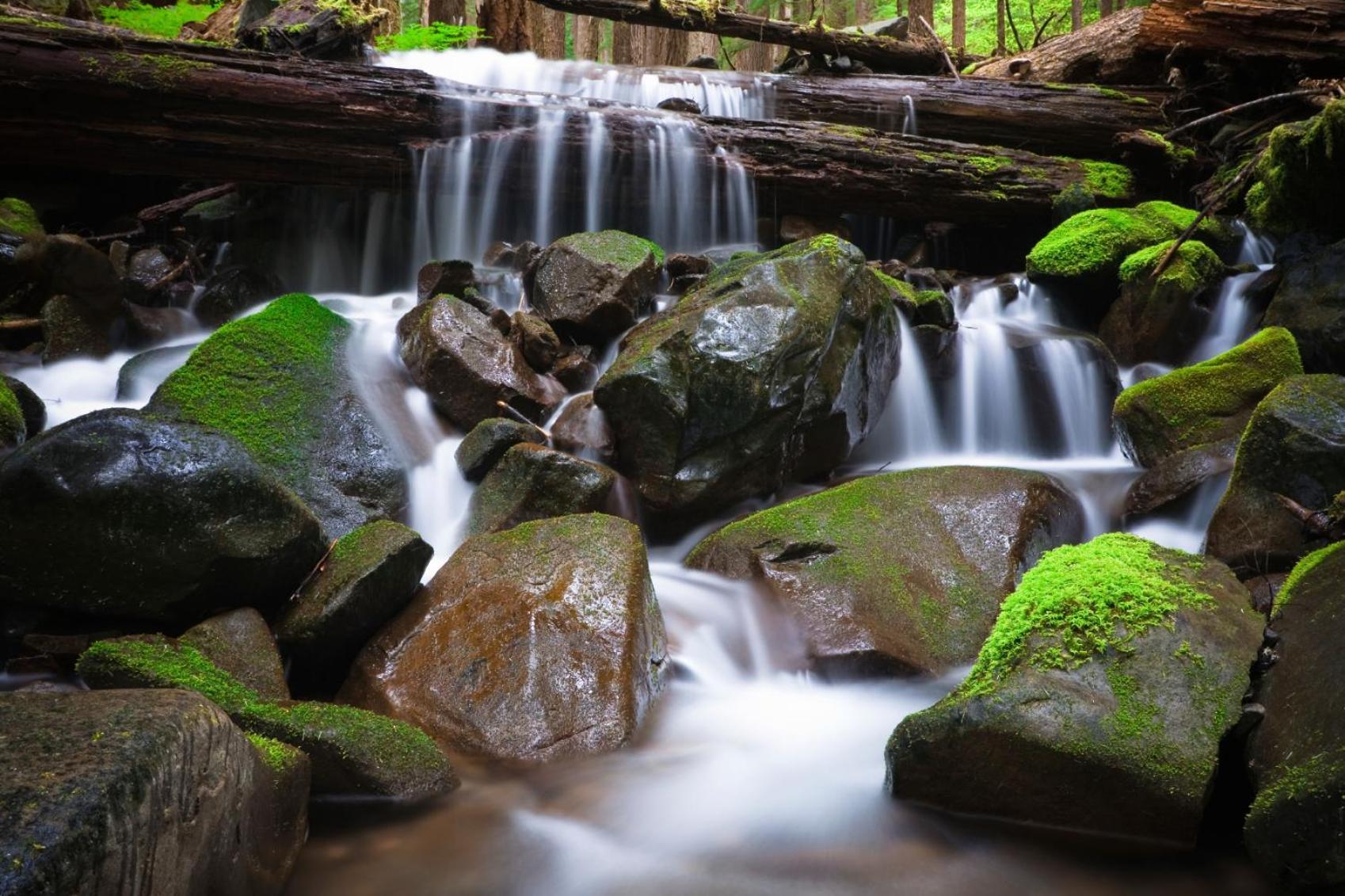Ovington Sol Duc Hot Springs Resort מראה חיצוני תמונה