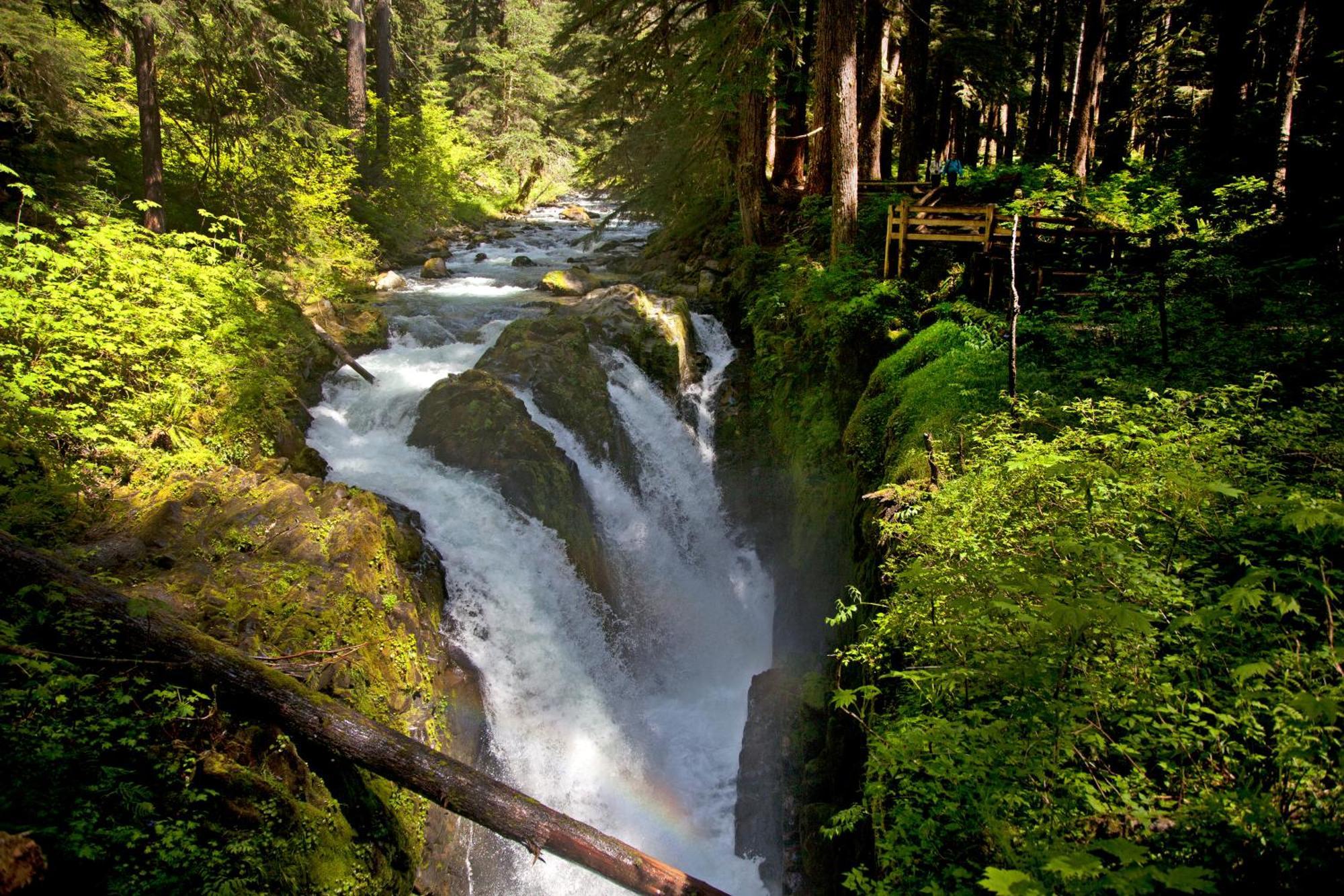 Ovington Sol Duc Hot Springs Resort מראה חיצוני תמונה